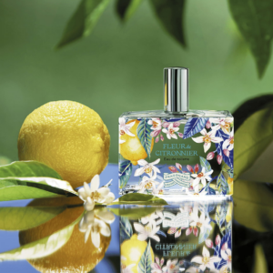 FLEUR DE CITRONNIER