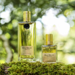 Bois Bélize Intense